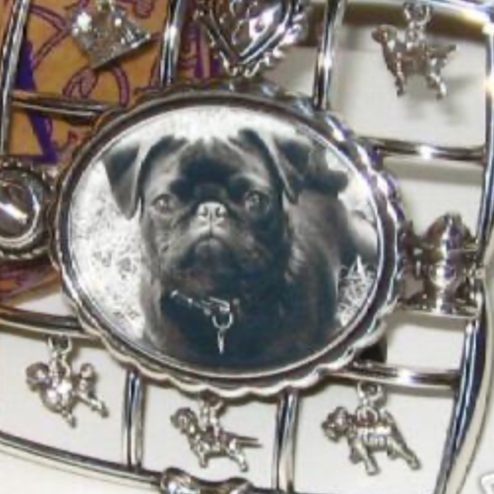 Brighton Silver Dog-Themed Picture Frame - Picture 6 of 6